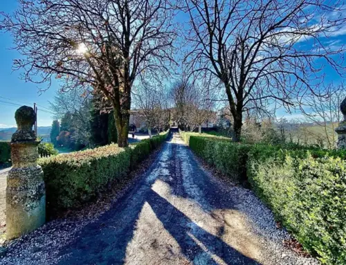 Alla scoperta del Castello di Luzzano: un viaggio tra storia e paesaggi con “camminandoinoltrepo”
