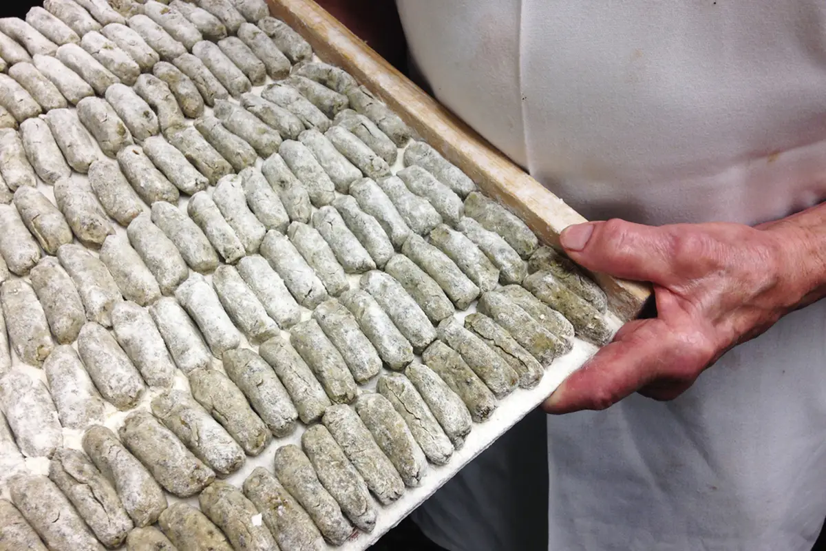 Malfatti of Fortunago