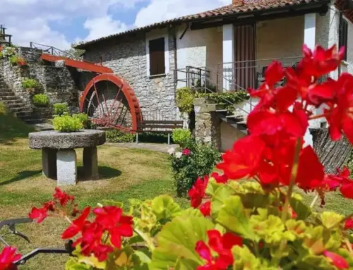 Il Mulino Pellegro: storia e tradizione nel cuore dell’Oltrepò Pavese