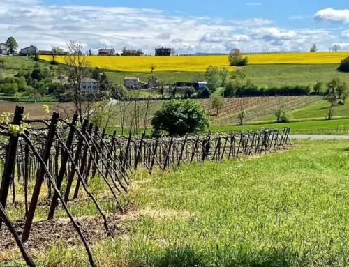 Percorso Zenevredo Montù Beccaria: tradizioni e paesaggi dell’Oltrepò Pavese