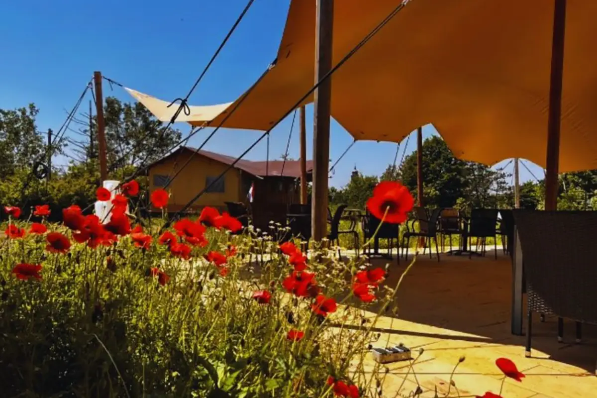 Glamping Oltrepò Pavese