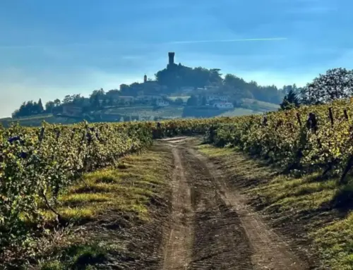 Val Versa: natura, storia e vino nell’Oltrepò Pavese