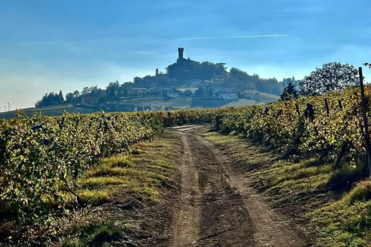 Val Versa Oltrepò Pavese