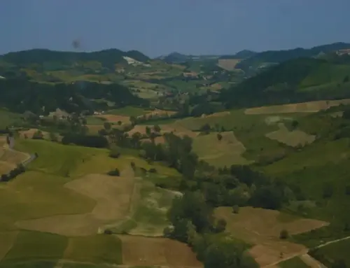 Valle Ardivestra: esplora storia e natura tra le colline dell’Oltrepò