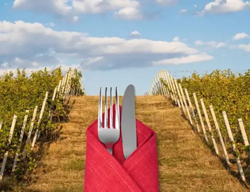 L’Economia dell’Oltrepò Pavese: un Tesoro Gastronomico che Attira Turismo