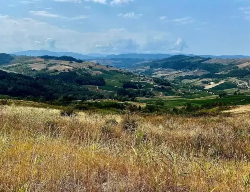 Esplora Montalto Pavese con “camminandoinoltrepo”: un’escursione imperdibile