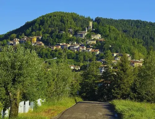 Sagra della Castagna di Pietragavina 2026: raccolta gratuita e sapori d’autunno