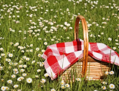 Discover the Oltrepò Pavese: the best places for an unforgettable picnic