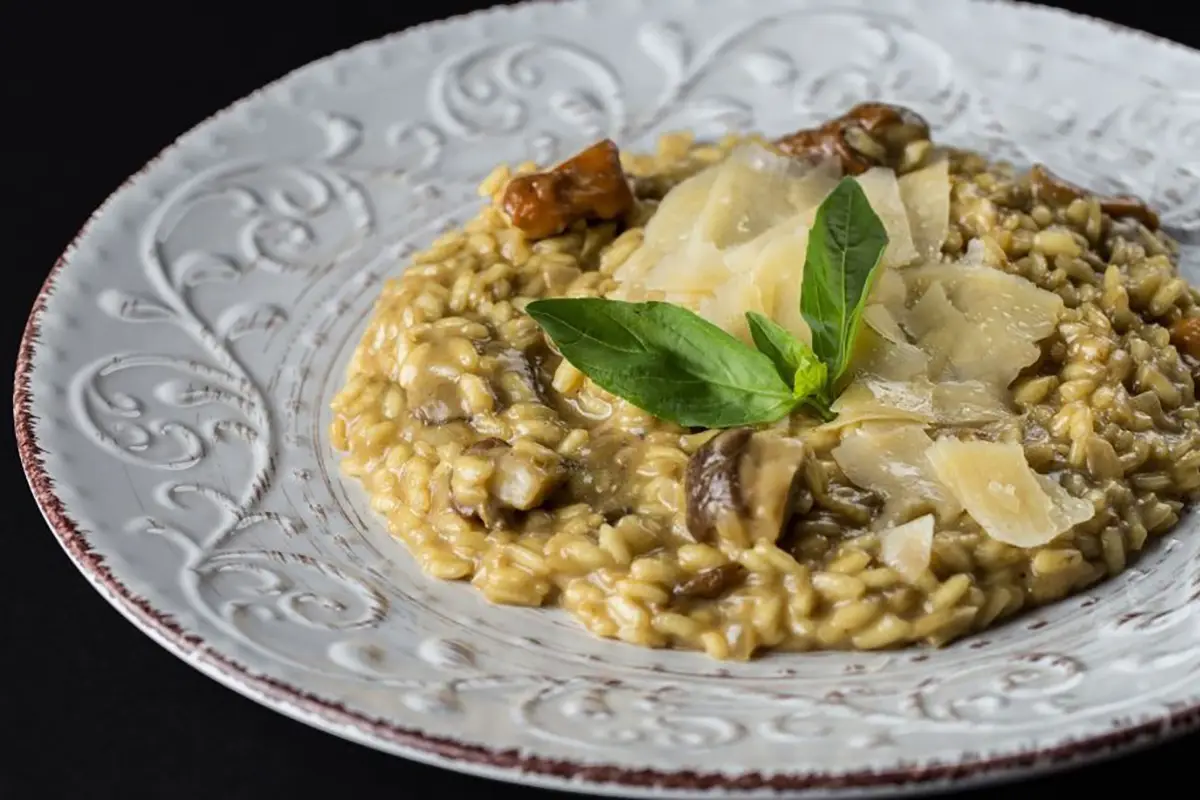 mushroom recipes
