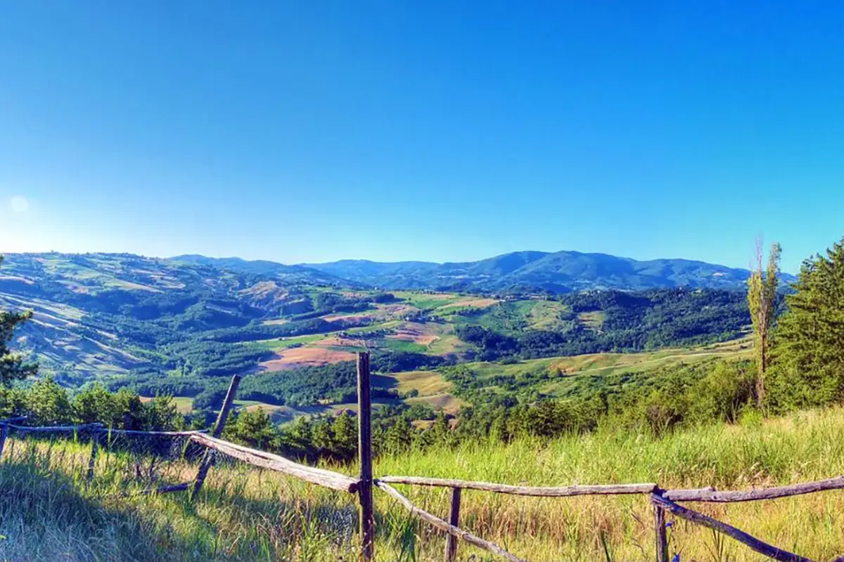 il fiore di borgoratto mormorolo