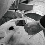 The art of wine tasting for beginners: 5 steps to get started with Oltrepò Pavese wine