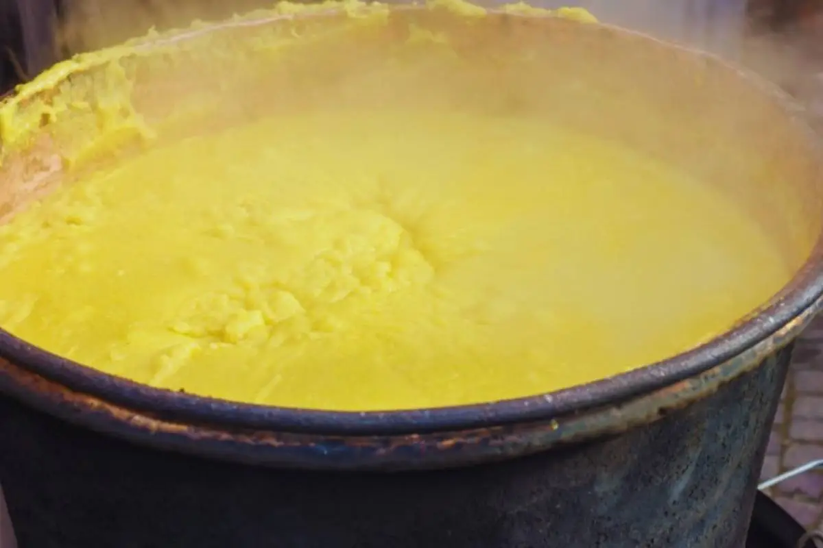 Sapori autunnali alla polentata a Rovescala nell'Oltrepò Pavese