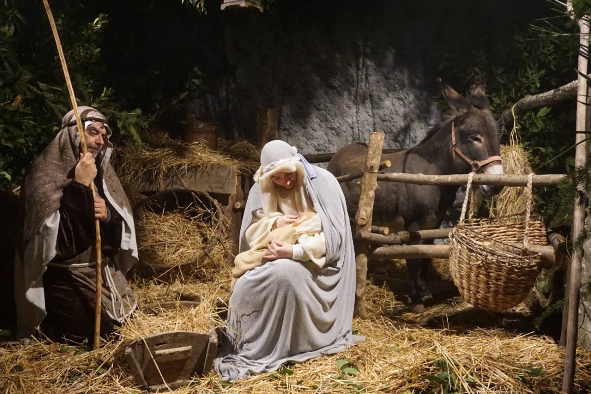 Discover the living crib of Zavattarello