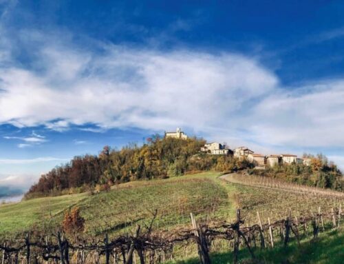 Découvrez Canevino : histoire, nature et traditions gastronomiques au cœur de l’Oltrepò Pavese