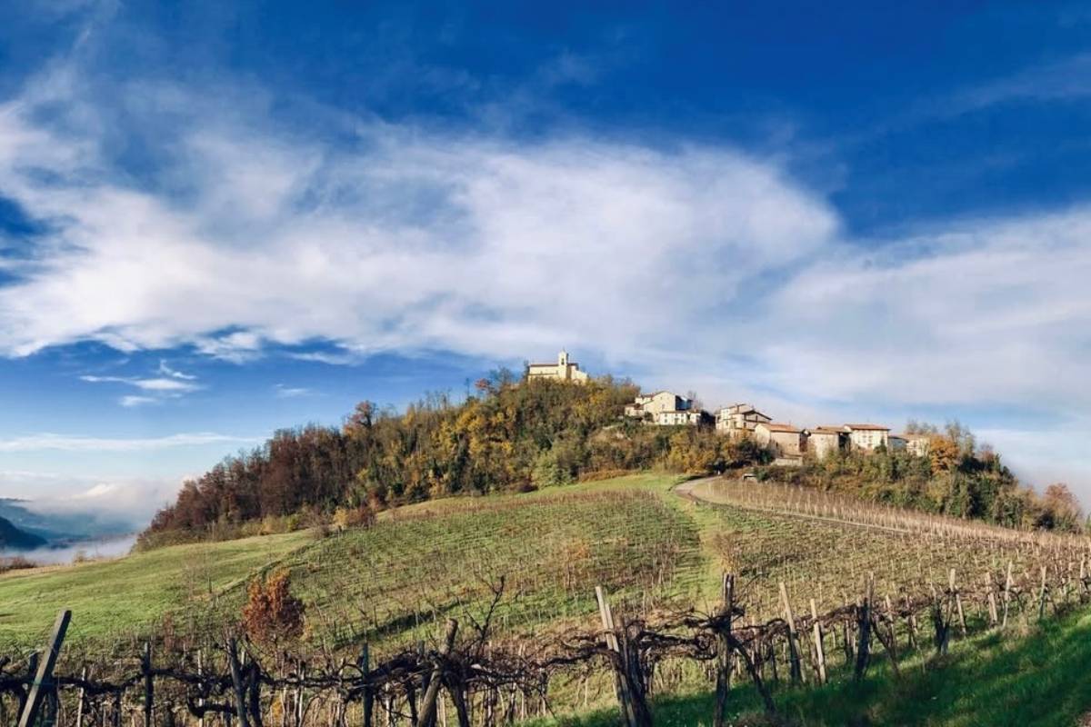 Discover Canevino in the Oltrepò Pavese area