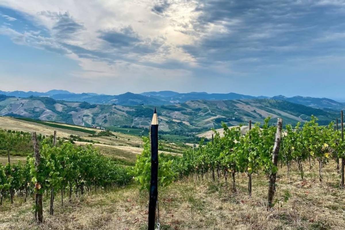 Discover the Oltrepò Pavese Wine Route