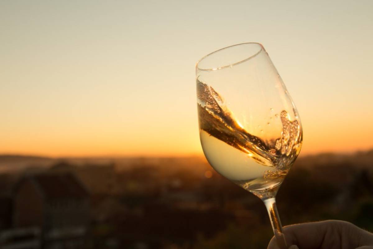 Discover the Oltrepò Pavese Chardonnay