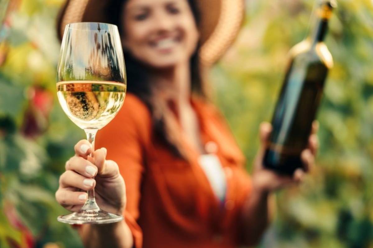 Discover the Oltrepò Pavese Malvasia