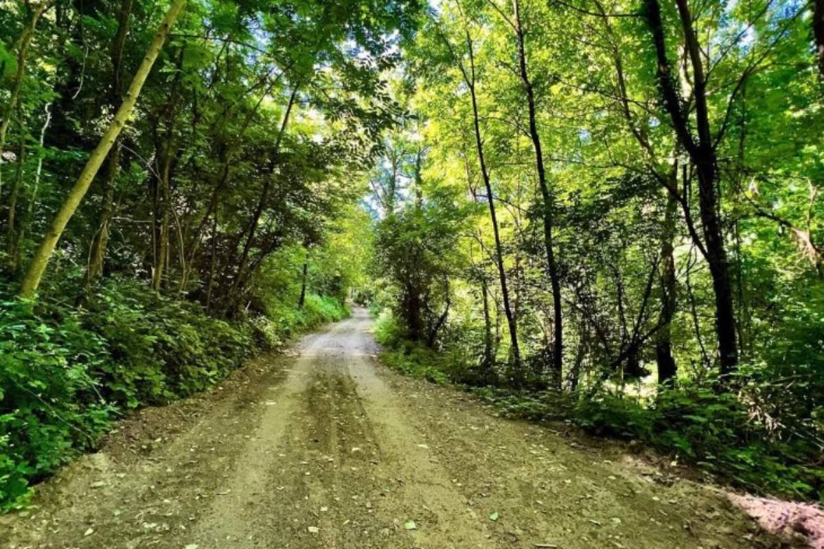 Come and discover the Recoaro Valleys Nature Park