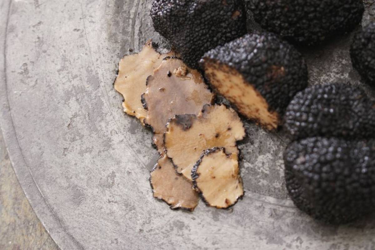 Discover the black truffle of Oltrepò Pavese