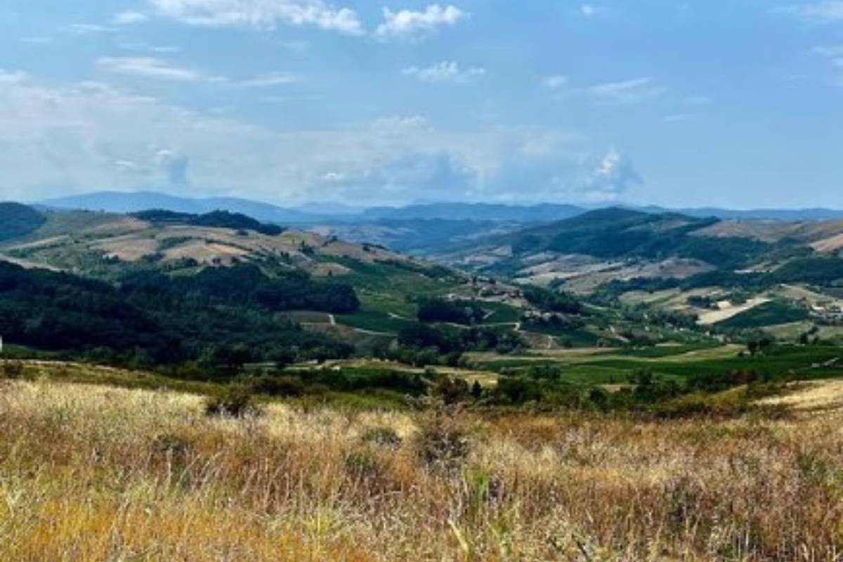 Cantine d'Autore in Montalto Pavese