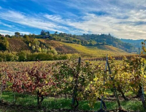 The Oltrepò Pavese towards the future: two strategic reforms to relaunch the wine-growing area
