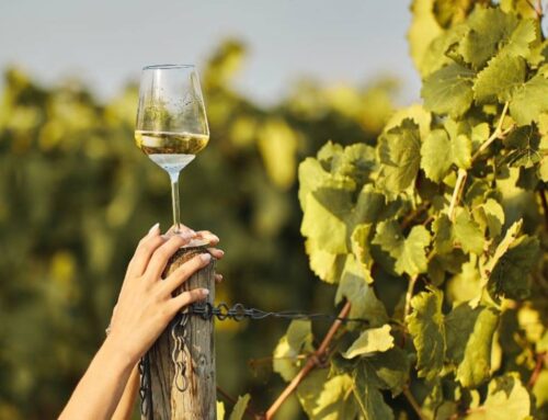 The Great Wines of Oltrepò Pavese: A Journey through History and Taste