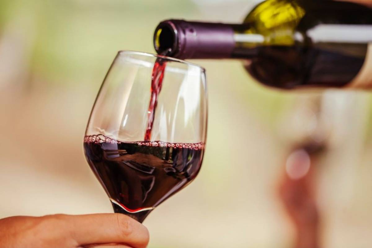 Primavera dei Vini di Rovescala: a journey through the flavours of the Oltrepò Pavese area