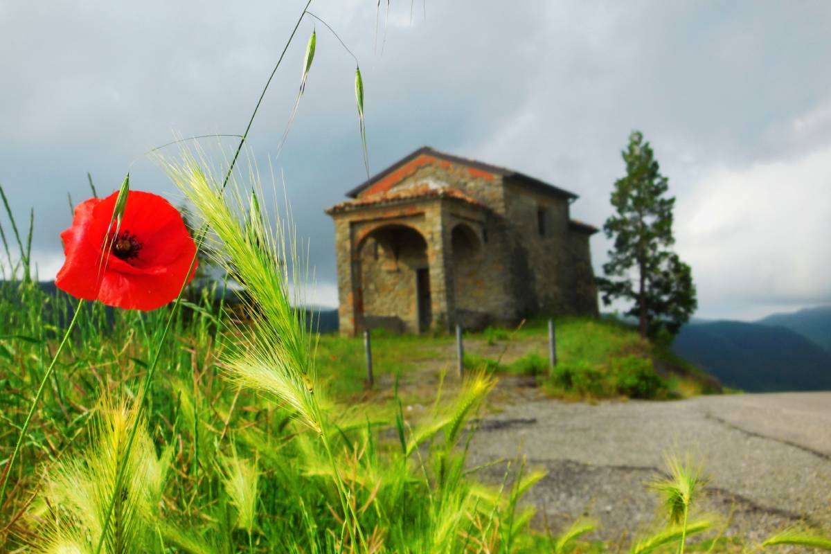 Oratory of Our Lady of the Snows