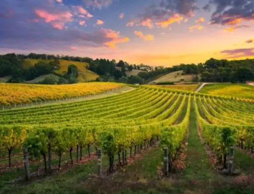 U.S. Tariffs on Italian Wine: A Hard Blow to the Wine Sector, Including Oltrepò