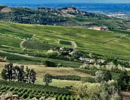 Ring of Castles in Montalto Pavese: panoramic excursion through history, vineyards and nature