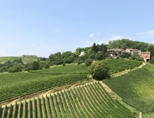 Vinitaly 2025: l’Oltrepò Pavese protagonista con l’Azienda Agricola Bruno Verdi