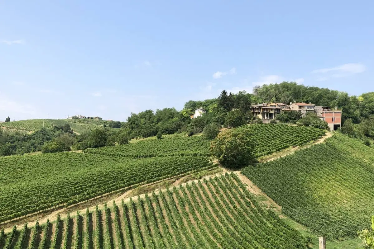 Bruno Verdi Vinitaly 2025