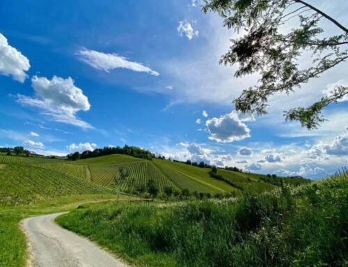 Oltrepò Pavese: una terra dove il vino è storia viva da oltre 2000 anni