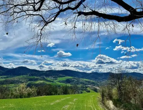 Le Valli dell’Oltrepò Pavese: un viaggio tra natura, borghi e vini d’eccellenza