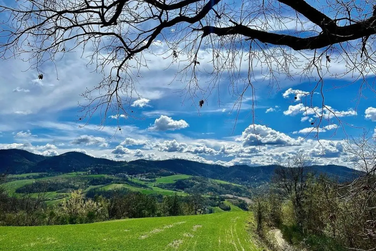 Valli Oltrepò Pavese