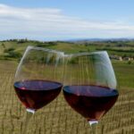 Brindisi d’Autunno a Zenevredo tra vino e sapori tipici dell’Oltrepò Pavese
