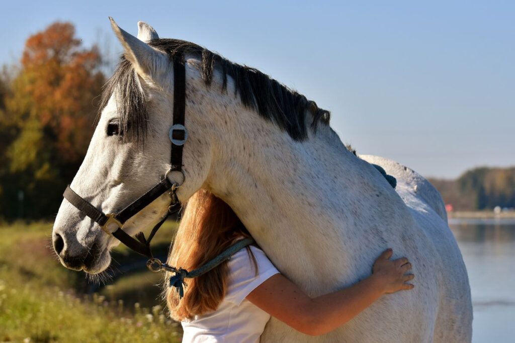 Pet Therapy: emozioni, natura e benessere in Oltrepò Pavese