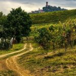 Percorso dei Sentieri Uniti tra vigneti e borghi dell’Oltrepò Pavese
