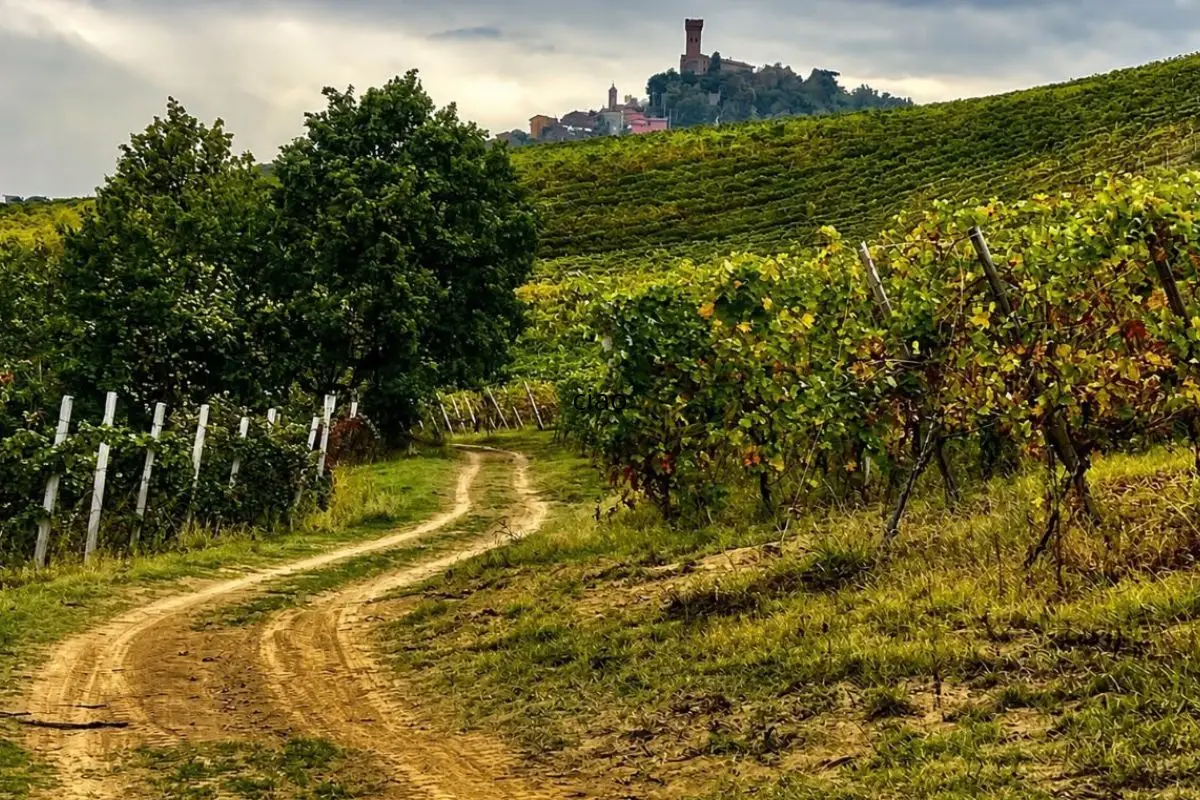 Percorso dei Sentieri Uniti tra vigneti e borghi dell’Oltrepò Pavese