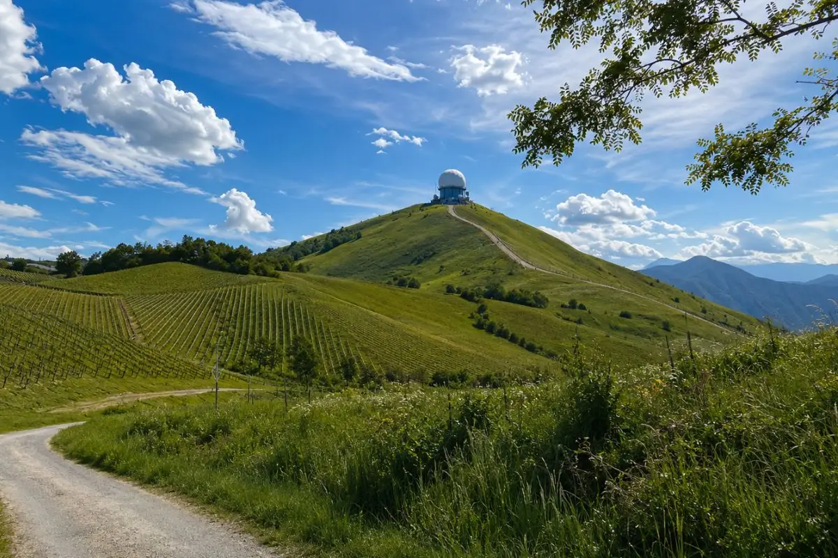 Vigneti dell’Oltrepò Pavese con il Monte Lesima sullo sfondo