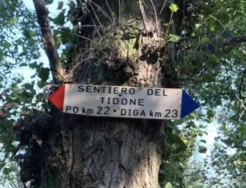 Sentiero del Tidone: 69 km dal Po fino alle sorgenti nell’Oltrepò Pavese