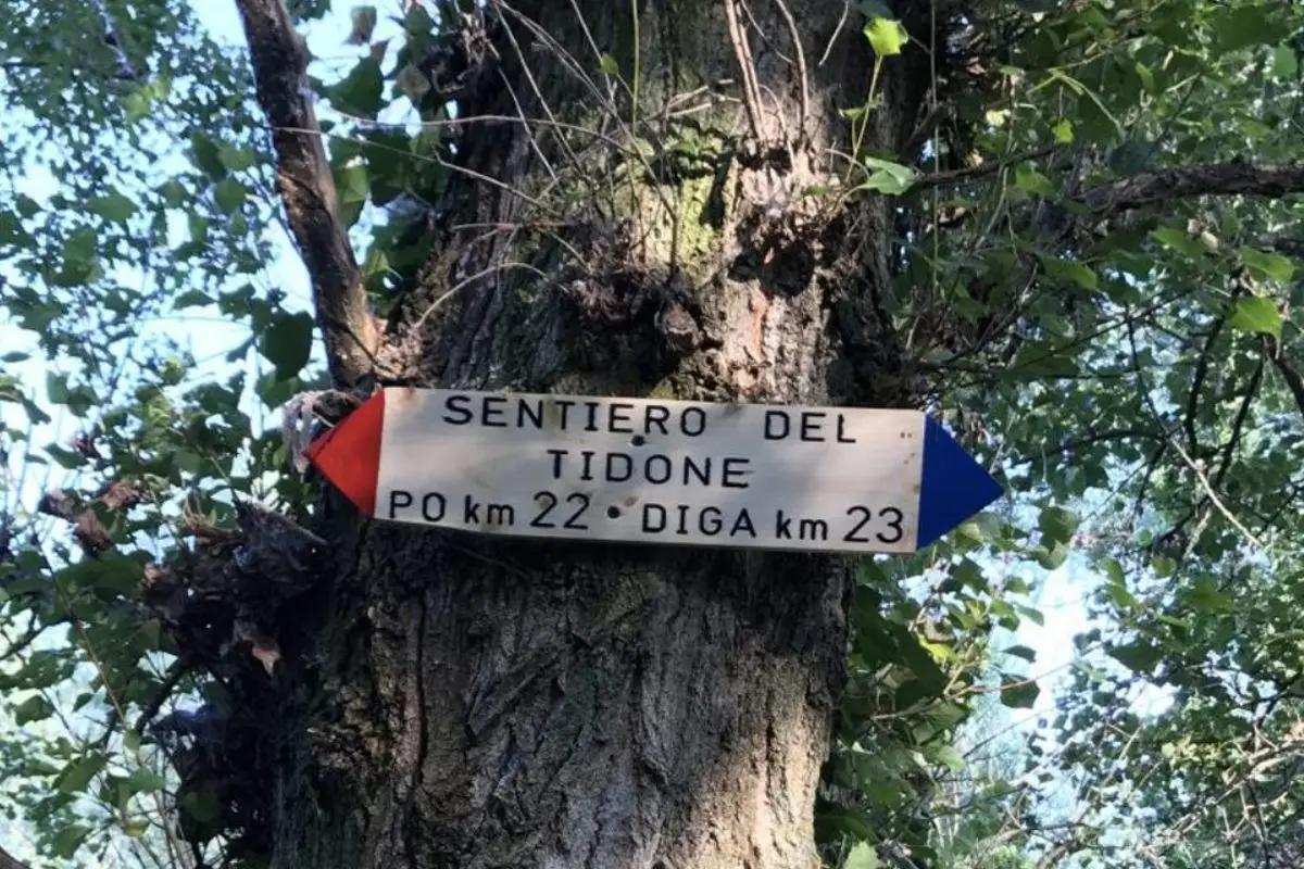 Sentiero del Tidone nell’Oltrepò Pavese tra boschi, colline e paesaggi dell’Alta Val Tidone