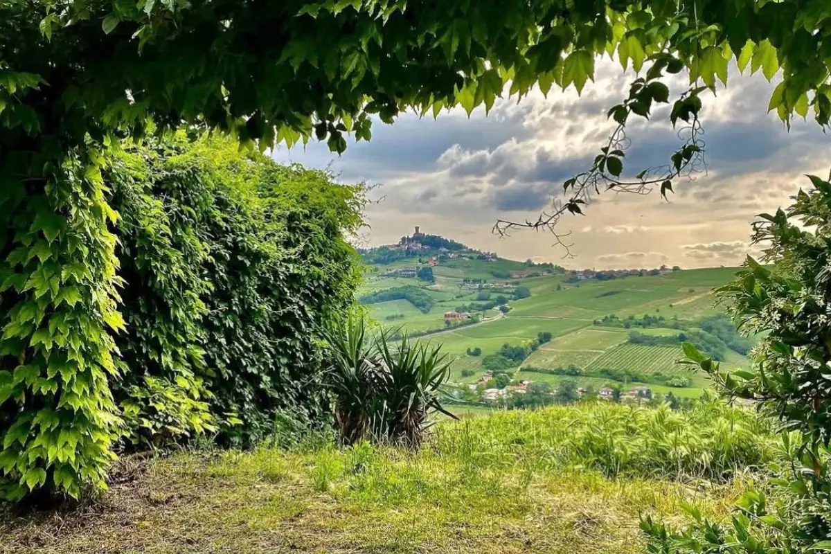 Paesaggio delle colline dell’Oltrepò Pavese, territorio protagonista della crescita del turismo