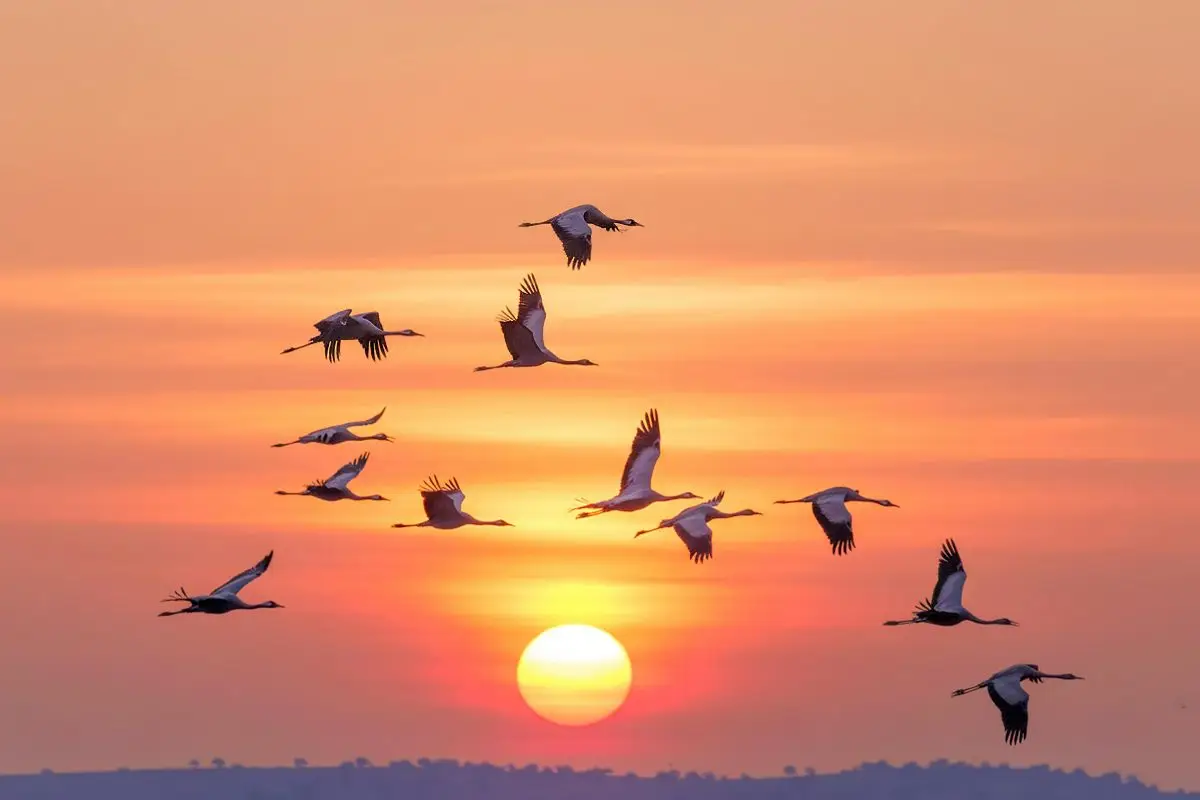 Sentiero del birdwatching in Oltrepò Pavese tra San Ponzo e Sant'Alberto di Butrio