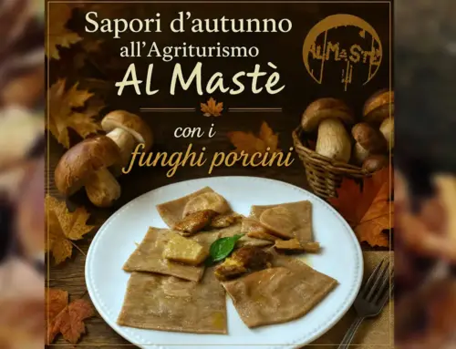 Agriturismo Al Mastè protagonisti i FUNGHI PORCINI