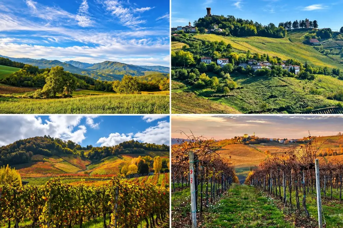 Collage delle quattro valli dell’Oltrepò Pavese tra vigneti, colline e paesaggi di Staffora, Coppa, Scuropasso e Versa