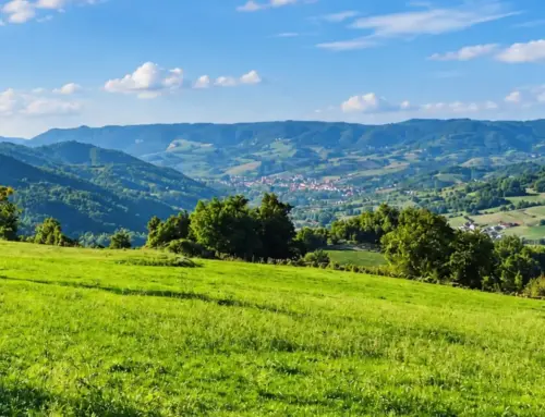 Anello di Menconico Nord: trekking tra boschi e panorami dell’Alto Oltrepò
