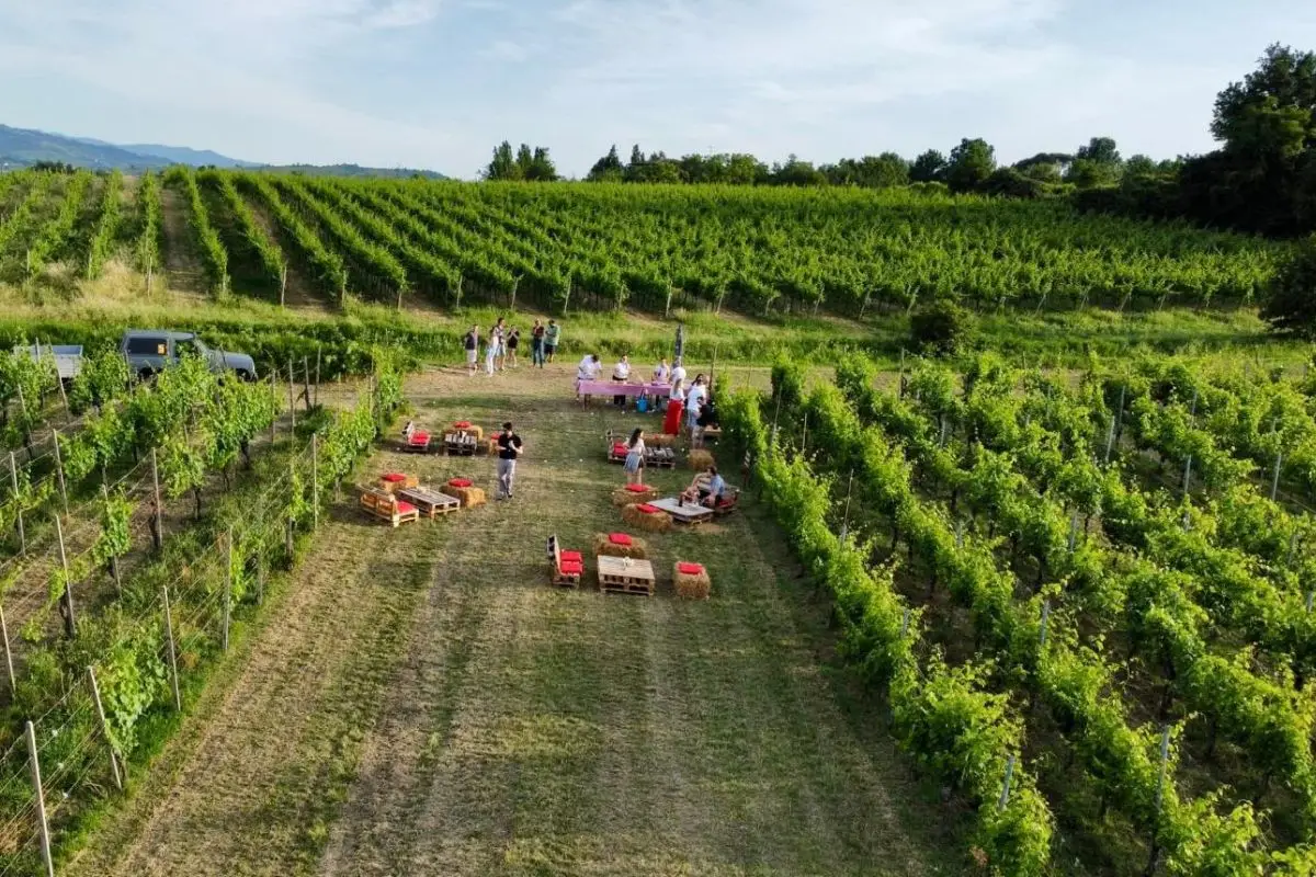 Degustazione di vini all'Azienda Agricola Colombi di Castana il 25 ottobre 2026, con tagliere di salumi e passeggiata tra i vigneti autunnali.