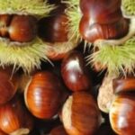 Sagra della Castagna e del Pane Casereccio a Brallo di Pregola nell'Oltrepò Pavese, domenica 18 ottobre 2026.